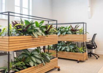 Green Office Design: A Guide to Sustainable Office Fit Outs | Blueprint ...