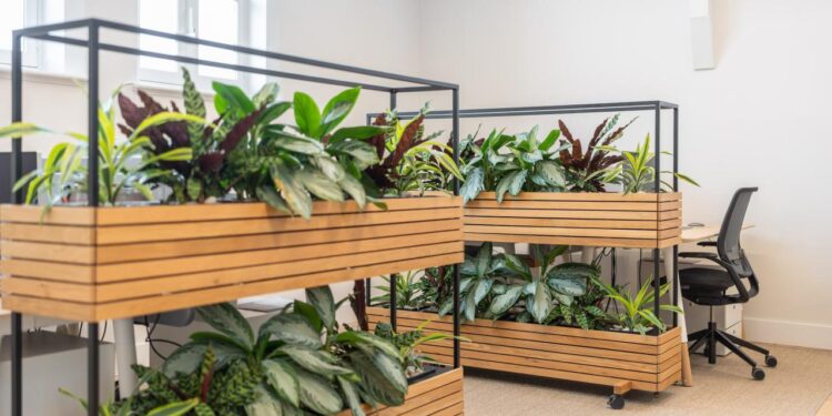 Green Office Design: A Guide to Sustainable Office Fit Outs | Blueprint ...