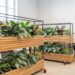 Green Office Design: A Guide to Sustainable Office Fit Outs | Blueprint ...